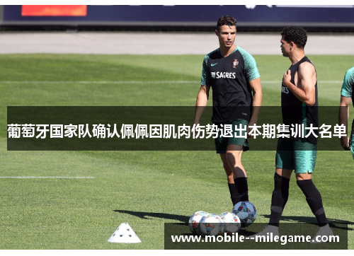 葡萄牙国家队确认佩佩因肌肉伤势退出本期集训大名单 葡萄牙国家队确认佩佩因肌肉伤势退出本期集训大名单