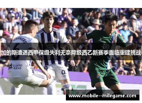 加的斯遭遇西甲保级失利无奈降级西乙新赛季面临重建挑战